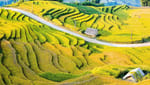 Lễ hội mùa Thu Y Tý 2026