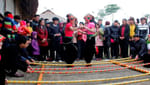 Lễ hội cầu an