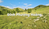 Đỉnh Phượng Hoàng - sự lãng mạn của cây cỏ