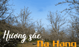 LỄ HỘI HƯƠNG SẮC NA HANG 2025 - MÙA HOA LÊ TRẮNG TINH KHÔI