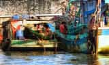 Làng Biển Định An Vĩnh Long: Nơi Vị Mặn Biển Cả Hòa Quyện Vào Lòng Sông Nước