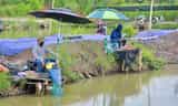 Cuối Tuần Thong Dong Buông Cần Tại Hồ Thanh Hà