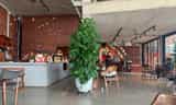 Check-In Cafe Ngói Đông Anh Nổi Bật Với Bức Tường Ngói Đỏ