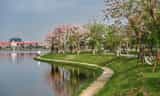 Công viên Hồ Điều Hòa Văn Miếu tại Đại Phúc, tỉnh Bắc Ninh: Điểm xanh giữa lòng thành phố