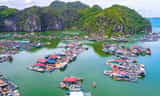 Khám phá vịnh Lan Hạ trên kayak: