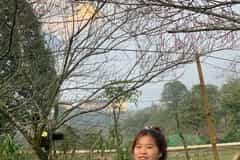 Chảo Tả Mẩy