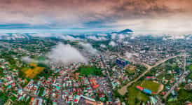 Tay Ninh