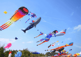 Kite flying festival