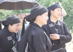 Tet in Cu Te area