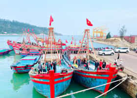 Festiaval Cửa Lò năm 2026