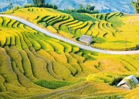 Y Ty Autumn Festival 2026
