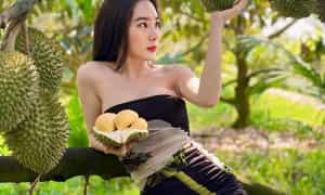 Điểm nhấn đặc biệt ở Làng Vitamin chính là sầu riêng tại đây đều được trồng theo hướng hữu cơ.