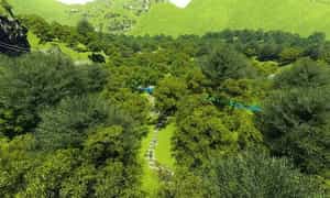 Thung lũng Sinh Tồn là nơi có nhiều dạng địa hình, bao gồm núi đá vôi, đất bằng, địa hình phi Karst, rừng nguyên sinh và hang động, suối nước ngầm.