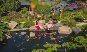 Hồ cá Koi chính là 1 địa điểm là nên điểm nhấn cho Quê Garden.