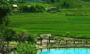 Bản Cu Vai cũng có rất nhiều cánh đồng ruộng bậc thang