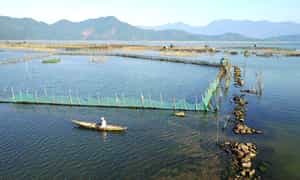 “Cau Hai Lagoon就像大自然送给顺化人民的一份珍贵礼物。”