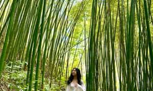 Vẻ đẹp siêu thực và đậm chất điện ảnh của rừng trúc Pù Lầu