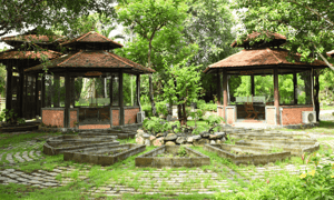 Làng cổ Phước Lộc Thọ với vẻ đẹp nhuốm màu năm tháng sẽ là điểm đến thú vị dành cho bạn trong hành trình khám phá vùng đất Long An.