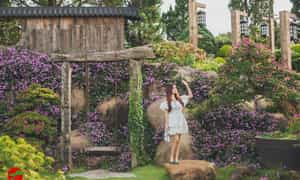 Được hình thành từ niêm yêu thích cây cảnh của chủ nhân Quê Garden, nơi đây nổi tiếng với những “tác phẩm” bonsai là kim cực kì ấn tượng.