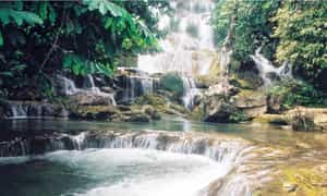 Thác Mơ Quảng Ninh – Thắng cảnh hoang sơ, đẹp hút hồn của vùng đất mỏ