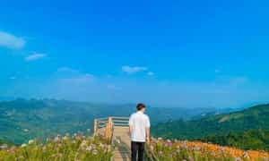 Địa điểm check-in, sống ảo của giới trẻ .