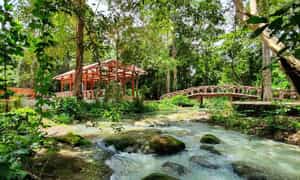 Căn cứ trung ương cục miền Nam - di tích lịch sử quốc gia đặc biệt