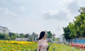 Du khách không cần mua vé vào cổng, bởi điểm tham quan này hiện đang miễn phí.