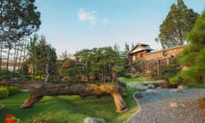 Với thiết kế mang phong cách Nhật Bản, Quê Garden mang đến những trải nghiệm kiến trúc mới mẻ, chắc chắn sẽ khiến bạn phải “wow” lên đầy cảm thán.