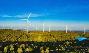 Cánh đồng quạt gió Ea H'leo được thiết kế với 108 turbine, trong đó mỗi trụ turbine có chiều cao 94m, loại 2.4MW có sải cánh lớn nhất tại Việt Nam