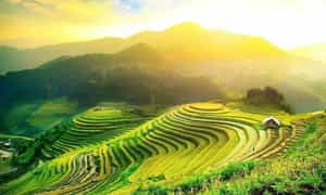 欣赏 Pho Cao Ha Giang 的彩色绘画