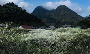 场景美如画