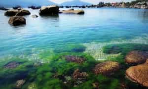 Đảo Bình Hưng - Mãn nhãn với biển xanh màu ngọc bích
