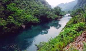 Phong Nha – Kẻ Bàng thu nhỏ trong “vườn thực vật”