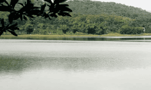 Hồ Yên Trung trầm lắng và thanh bình như Đà Lạt mộng mơ.