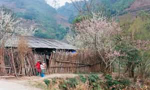 您可以随时参观 Pho Cao Ha Giang