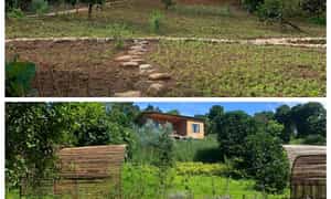 Bungalow 5 Seasons坐落在一座占地约2公顷的小山上,周围环绕着一望无际的咖啡田。