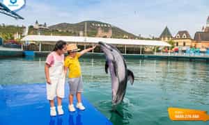 Biển diễn cá heo và hải cẩu