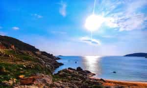 Ngắm nhìn một bãi Chuối Ninh Thuận xinh đẹp.