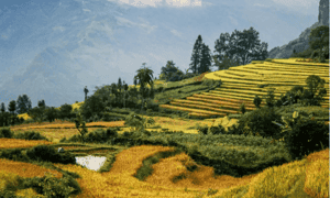 Bức tranh thiên nhiên đẹp nao lòng