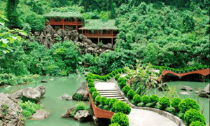 Lưng chừng núi - Trung Sơn.