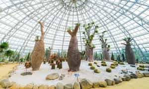 King’s Garden Nha Trang