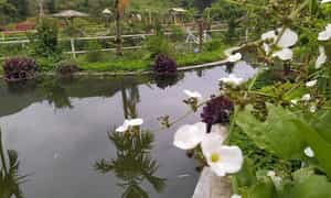 Tham 村的宁静美景和新鲜空气