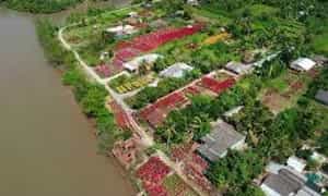 Hình ảnh Miệt vườn Cái Mơn , chợ Lách từ trên cao