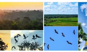 Đây là nơi lý tưởng để bạn tìm thấy sự yên bình, tĩnh lặng, và thư thái giữa thiên nhiên mênh mông.