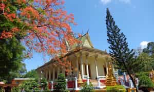 Chùa Hang, tiếng Khmer gọi là Kompông Chrây là ngôi chùa Phật giáo Nam tông Khmer nổi tiếng, tọa lạc tại khóm 3, thị trấn Châu Thành, cách trung tâm thành phố Trà Vinh hơn 5 km về hướng nam, theo Quốc lộ 54.