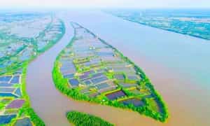 Cồn Chim là một trong những điểm du lịch Trà Vinh nổi tiếng, được ví như ốc đảo xanh yên bình.