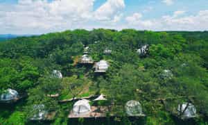 Tropical eGlamping 很荣幸成为越南领先的豪华露营区之一