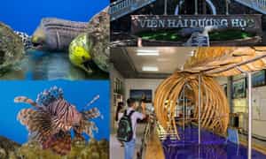 Viện Hải dương học Nha Trang - Ngắm bộ xương cá voi khổng lồ