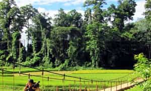 Xã Bản Hon sở hữu cảnh quan thiên nhiên trong lành, xanh mát.
