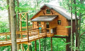Nhà trên cây ở thác Dambri Bảo Lộc